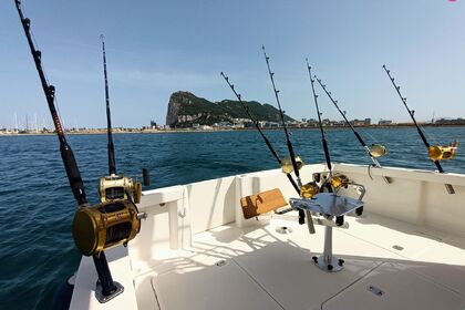 Alquiler Lancha Rodman Rodman 1170 Sotogrande