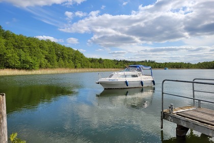 Noleggio Houseboat Custom Viking 22  Terra dei laghi del Meclemburgo