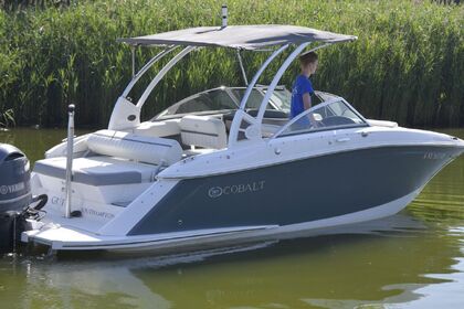 Miete Motorboot Cobalt 23 SC Andratx