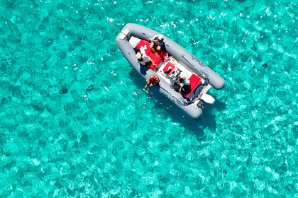 Rental RIB Bwa 550 Palau