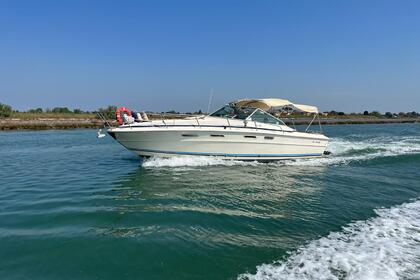 Aluguel Lancha Sea Ray 31 Veneza