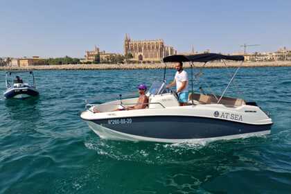 Charter Boat without licence  Quicksilver 505 Mallorca