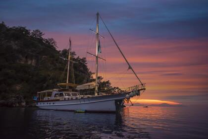 Charter Gulet Afilli 2021 Fethiye
