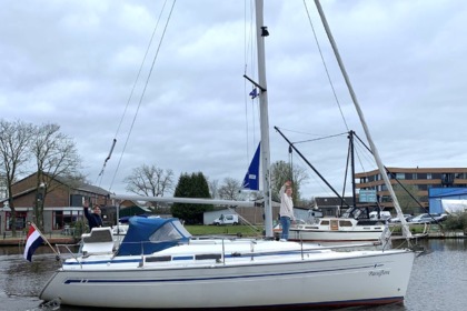 Miete Segelboot Bavaria 31 Cruiser Amsterdam