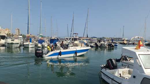 Dénia Without license Quicksilver Activ 455 Open alt tag text
