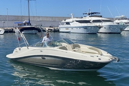 Charter Motorboat Sea Ray 260 SD Marbella