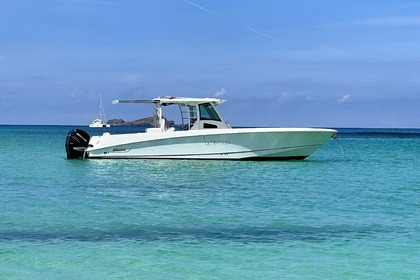 Miete Motorboot Boston Whaler outrage Sint Maarten