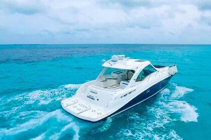 Rental Motorboat Sea Ray 180 Closed Bow Cancún