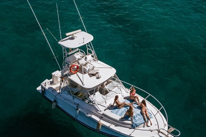 Rental Motorboat Luhrs 31 Open Playa de las Américas