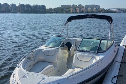 Miete Motorboot Crownline 206 LS Stockholm