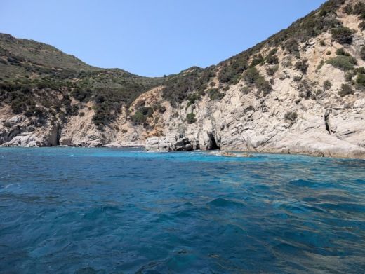 Crabonaxa Without license Capelli Capelli 520 alt tag text