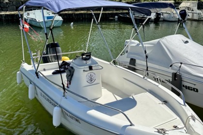 Charter Motorboat Sessa Marine Ocean 450 Le Bourget-du-Lac