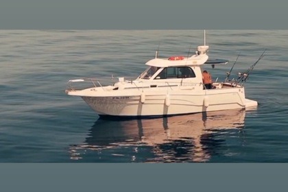 Charter Motorboat Starficher 840 WA Marbella