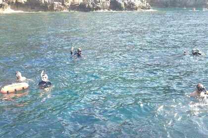 Location Voilier Nautic Saintonge Rorqual p74 Beaulieu-sur-Mer