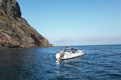 Alquiler Lancha saxdor 270 GTO Santa Cruz de Tenerife