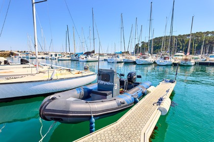 Miete Motorboot NEUVISA NEUVISA TARPON 65 Morgat