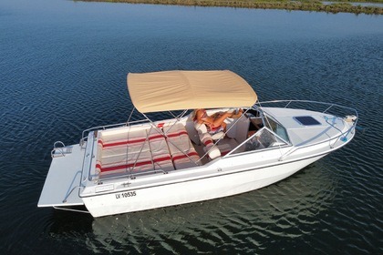 Rental Motorboat Glastron Laraya 214 Venice