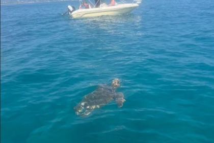 Verhuur Boot zonder vaarbewijs  Poseidon Blue Water 185 Zakynthos