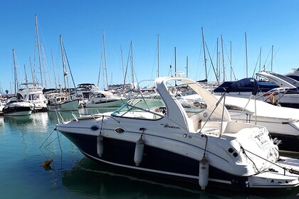 Hire Motorboat Sea Ray 315 Estepona