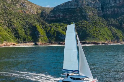Hyra båt Katamaran  Sunsail 465 Dubrovnik