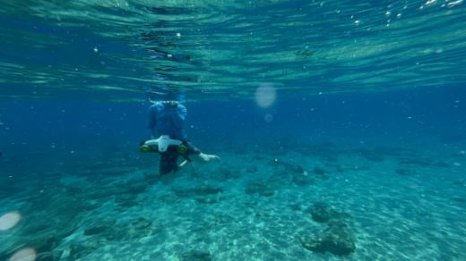 Kos Motorboat Trojan 44 Express alt tag text