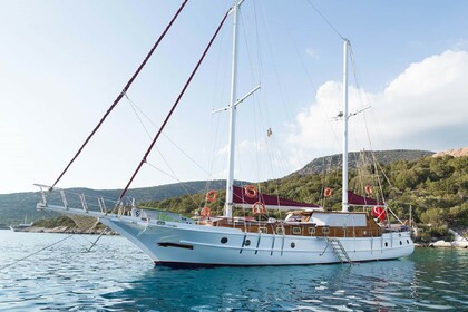 Hire Gulet Gulet Prima Donna Bodrum