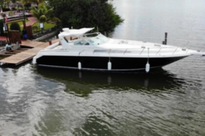 Hire Motorboat Sea Ray 460 Sundancer Cancún