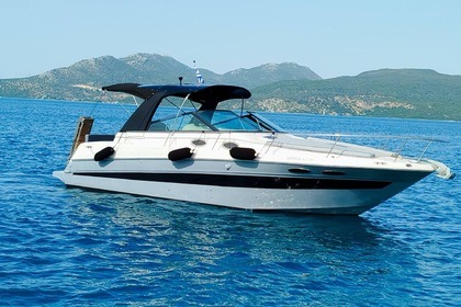 Charter Motorboat Sea Ray 290 sun dancer Nikiana