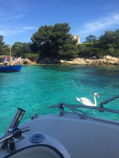 Cannes Motorboat Beneteau Flyer 6.6 alt tag text