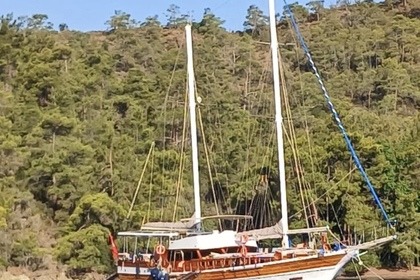 Hire Gulet CUSTOM 2007 Bodrum