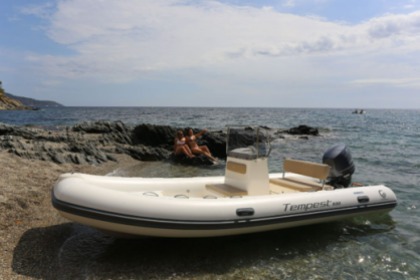 Hire Boat without licence  Capelli Capelli Tempest 530 N. 10 Cannigione
