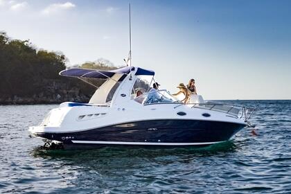 Hire Motorboat Sea Ray 260 Sundancer Puerto Vallarta