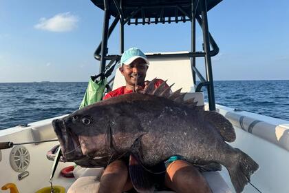 Charter Motorboat Black pearl Pearl 24 Baa Atoll