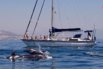 Location Voilier Pradere&Fills ROC Fuengirola