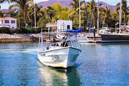 Hire Motorboat 30' Super Panga Puerto Vallarta