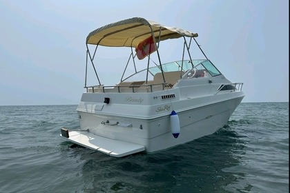Rental Motorboat Sea Ray Cudy cabin Bar