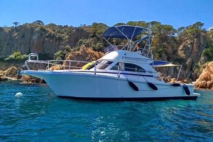 Charter Motorboat Cayman Yacht 30 Fly Bridge Sant Feliu de Guíxols