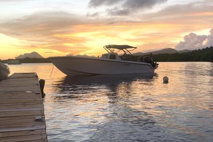 Verhuur Motorboot Fusion 31 sport Sainte-Luce