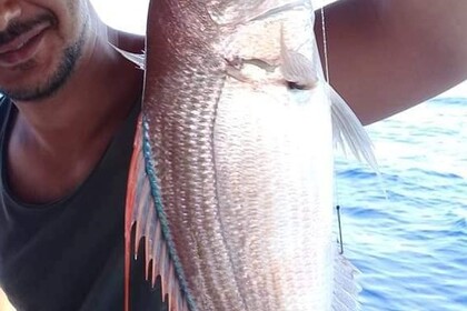 Charter Motorboat Kusadasi Fishing Kusadasi Fishing Kuşadası