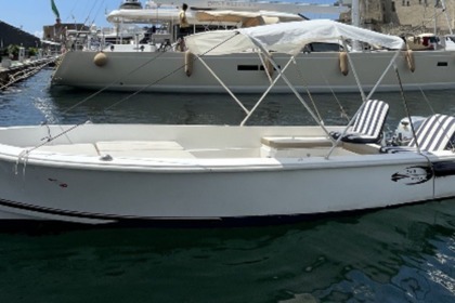 Charter Motorboat Seaprop 150 Naples