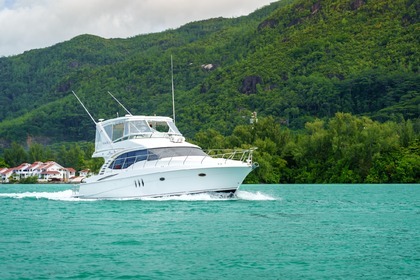 Charter Motorboat Silverton Yachts Ovation 52 Seychelles