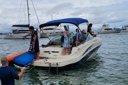 Charter Motorboat Sea Ray 220 Sundeck Sydney