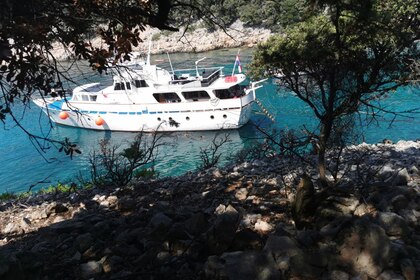 Verhuur Motorjacht Dagless Fleur de Lys Rijeka