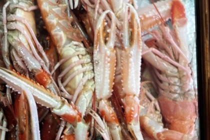 Noleggio Yacht a motore YANETTI 23  meters luxury 23 meters Porto Cervo