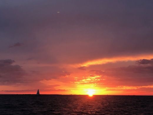 La Rochelle Sailboat Feeling 326 alt tag text