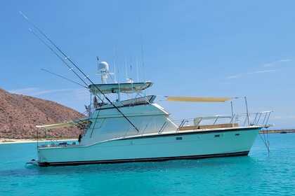 Rental Motorboat Hatteras 1985 La Paz