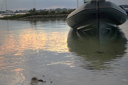 Location Semi-rigide 3d Tender XPRO Larmor-Baden