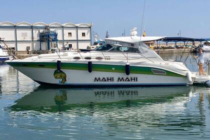 Charter Motorboat Sea Ray 370 Sundancer Marbella