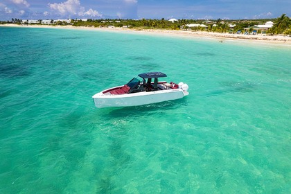 Rental Motorboat Marcio Schaefer Schaefer V33 Anguilla