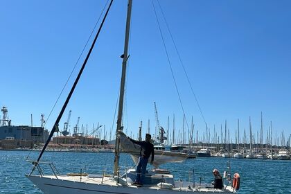 Location Voilier Mallard Ecume De Mer La Seyne-sur-Mer